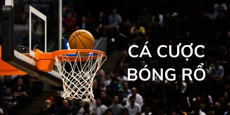Anh em có thể dễ dàng tham gia cá cược bóng rổ ở các nhà cái lớn nhỏ